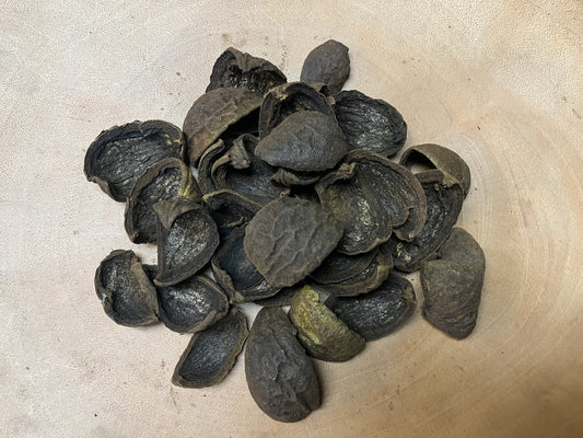 Black Walnuts (Juglans nigra)