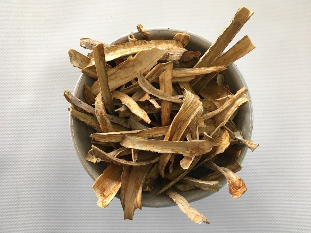 Devils Club (Oplopanax horridum)