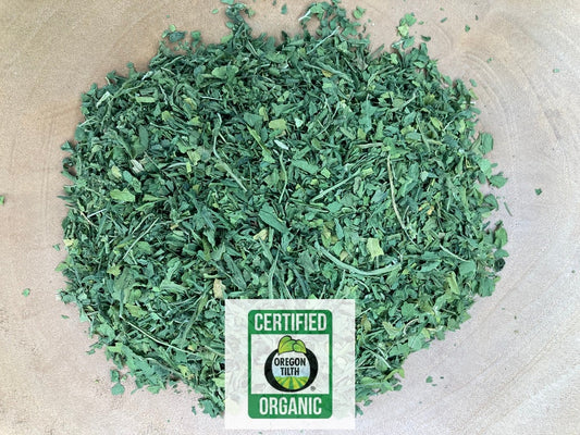 Epazote (Chenopodium ambrosioides)