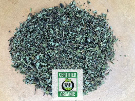 Holy Basil / Tulsi (Ocimum spp.)