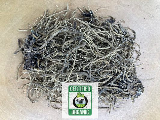 Valerian (Valeriana officinalis)