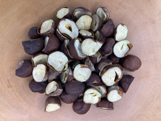 Horsechestnut (Aeslus hippocastanum)