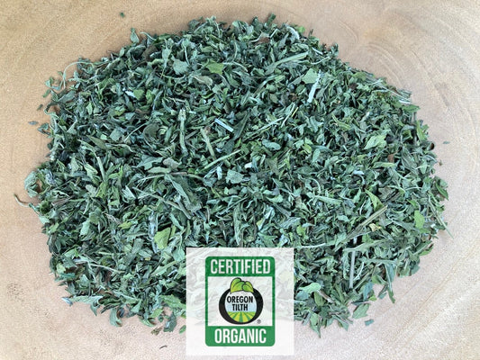 Bugleweed (Lycopus americanus)